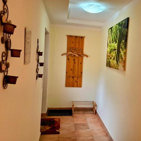 Ferienwohnung Im Landhaus Am Nationalpark Ludwigsthal エクステリア 写真