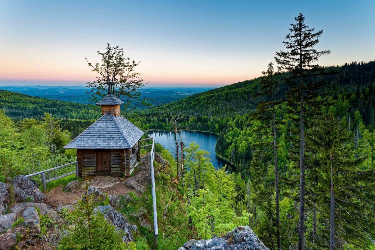 Ferienwohnung Im Landhaus Am Nationalpark Ludwigsthal エクステリア 写真