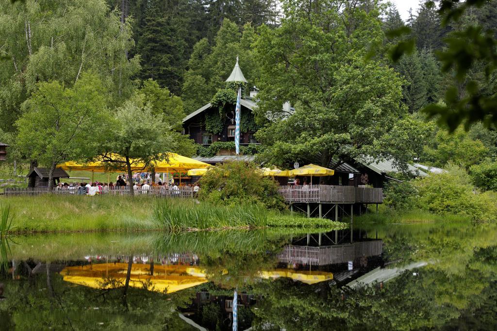 Ferienwohnung Im Landhaus Am Nationalpark Ludwigsthal エクステリア 写真