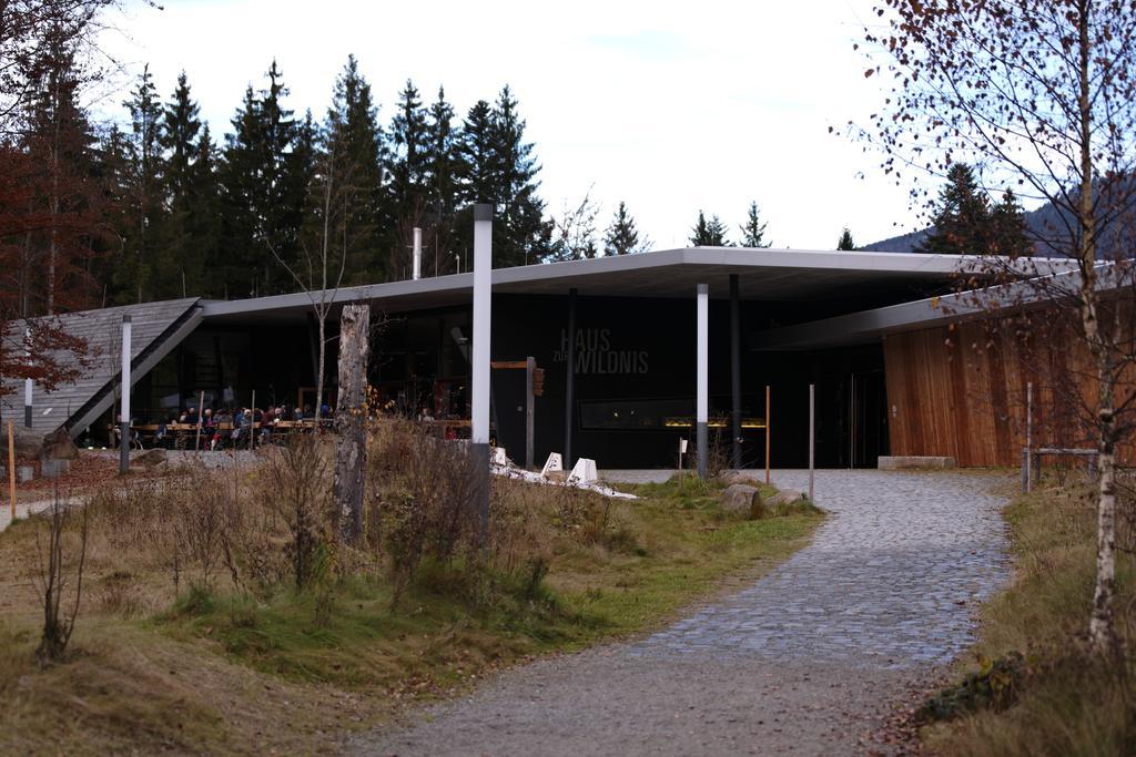 Ferienwohnung Im Landhaus Am Nationalpark Ludwigsthal エクステリア 写真