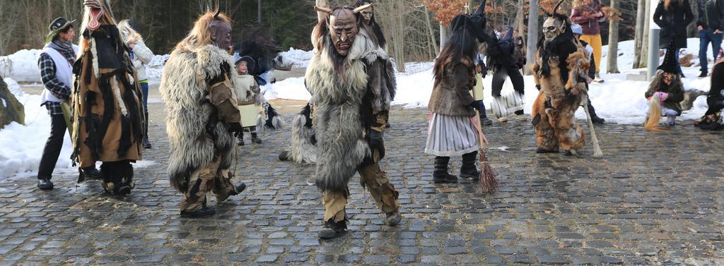 Ferienwohnung Im Landhaus Am Nationalpark Ludwigsthal エクステリア 写真