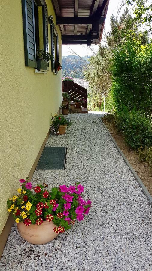 Ferienwohnung Im Landhaus Am Nationalpark Ludwigsthal エクステリア 写真